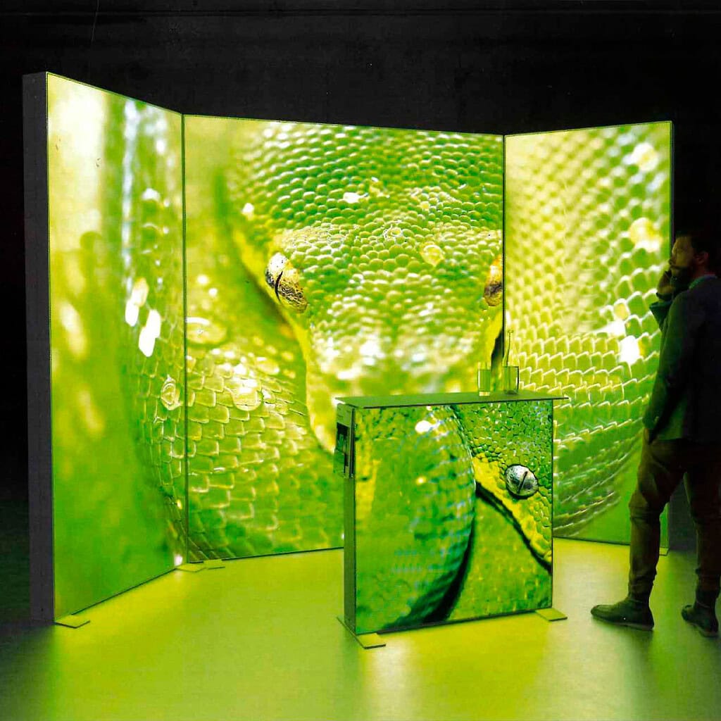 caja serpiente